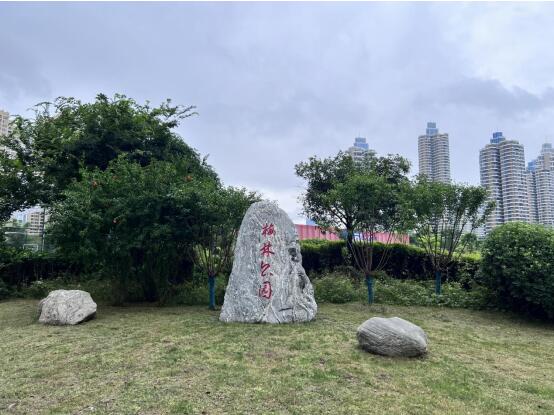 香港全年正版资料大全