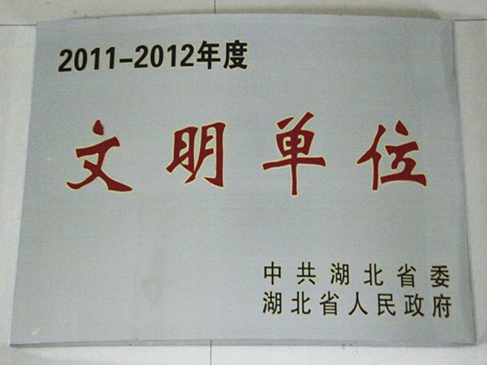 香港全年正版资料大全