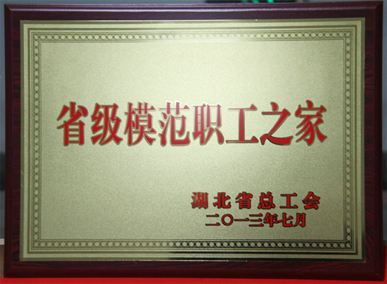 香港全年正版资料大全