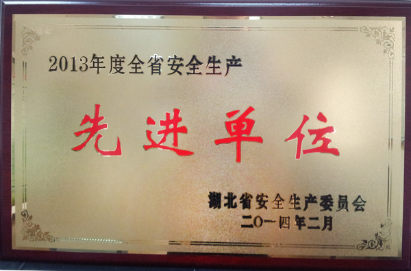 香港全年正版资料大全