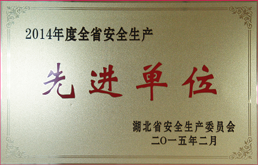 香港全年正版资料大全