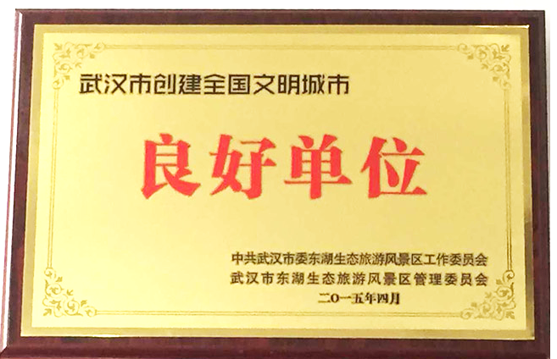 香港全年正版资料大全