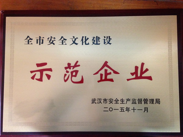 香港全年正版资料大全