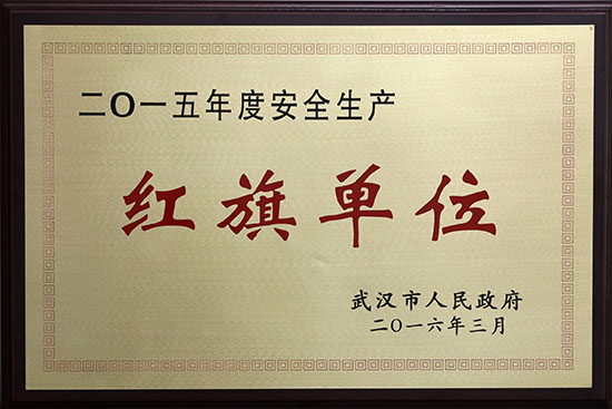 香港全年正版资料大全