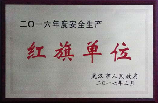 香港全年正版资料大全