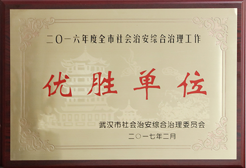 香港全年正版资料大全