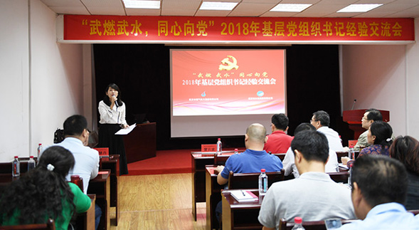 香港全年正版资料大全