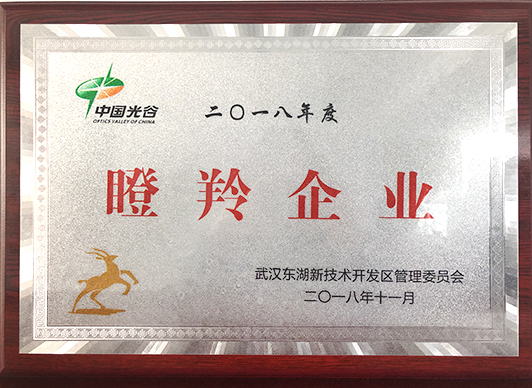 香港全年正版资料大全