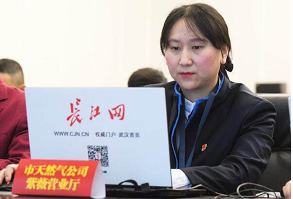 香港全年正版资料大全